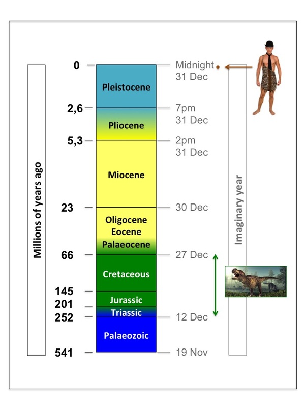 geology, geological time, geological time scale, palaeozoic, triassic, jurassic, cretaceous, eocene, palaeocene, oligocene, miocene, pliocene, pleistocene