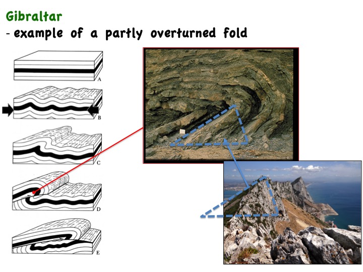 Gibraltar geology, example of an overturned fold