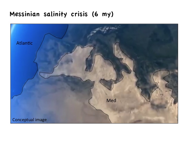 geology of spain, messinian, salinity crisis